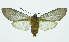  ( - INB0003487083)  @13 [ ] Copyright (2010) A. Solis Instituto Nacional de Biodiversidad