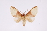  ( - INB0003496070)  @11 [ ] Copyright (2012) B. Espinoza Instituto Nacional de Biodiversidad