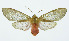  ( - INB0003545189)  @14 [ ] Copyright (2010) A. Solis Instituto Nacional de Biodiversidad
