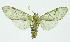  ( - INB0003554855)  @11 [ ] CreativeCommons - Attribution Non-Commercial No Derivatives (2011) Alex Smith University of Guelph