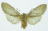  ( - INB0003707427)  @14 [ ] Copyright (2010) A. Solis Instituto Nacional de Biodiversidad