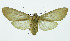  ( - INB0003708303)  @14 [ ] Copyright (2010) A. Solis Instituto Nacional de Biodiversidad