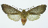  ( - INB0003708306)  @14 [ ] Copyright (2010) A. Solis Instituto Nacional de Biodiversidad