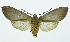  ( - INB0003708306)  @14 [ ] Copyright (2010) A. Solis Instituto Nacional de Biodiversidad