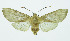  ( - INB0003709784)  @11 [ ] Copyright (2010) A. Solis Instituto Nacional de Biodiversidad