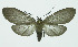  ( - INB0003712276)  @14 [ ] CreativeCommons - Attribution Non-Commercial No Derivatives (2011) Alex Smith University of Guelph