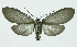  ( - INB0003712276)  @14 [ ] CreativeCommons - Attribution Non-Commercial No Derivatives (2011) Alex Smith University of Guelph