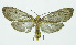  ( - INB0003712324)  @14 [ ] CreativeCommons - Attribution Non-Commercial No Derivatives (2011) Alex Smith University of Guelph