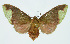  ( - INB0003766491)  @13 [ ] CreativeCommons - Attribution Non-Commercial No Derivatives (2011) Alex Smith University of Guelph
