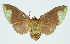  ( - INB0003766491)  @12 [ ] CreativeCommons - Attribution Non-Commercial No Derivatives (2011) Alex Smith University of Guelph
