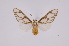  ( - INB0003860936)  @14 [ ] Copyright (2012) B. Espinoza Instituto Nacional de Biodiversidad