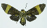  ( - INB0003863120)  @12 [ ] CreativeCommons - Attribution Non-Commercial No Derivatives (2011) Alex Smith University of Guelph