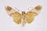  ( - INB0003871556)  @14 [ ] Copyright (2012) B. Espinoza Instituto Nacional de Biodiversidad