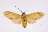  ( - INB0003873290)  @13 [ ] Copyright (2012) B. Espinoza Instituto Nacional de Biodiversidad