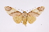  ( - INB0003880483)  @13 [ ] Copyright (2012) B. Espinoza Instituto Nacional de Biodiversidad