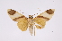 ( - INB0003880721)  @11 [ ] Copyright (2012) B. Espinoza Instituto Nacional de Biodiversidad