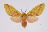  ( - INB0003888358)  @14 [ ] Copyright (2012) B. Espinoza Instituto Nacional de Biodiversidad