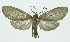 ( - INB0003931390)  @14 [ ] CreativeCommons - Attribution Non-Commercial No Derivatives (2011) Alex Smith University of Guelph
