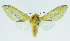  ( - INB0003935254)  @14 [ ] CreativeCommons - Attribution Non-Commercial No Derivatives (2011) Alex Smith University of Guelph