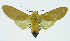  ( - INB0003935665)  @14 [ ] CreativeCommons - Attribution Non-Commercial No Derivatives (2011) Alex Smith University of Guelph