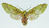  ( - INB0003943022)  @14 [ ] CreativeCommons - Attribution Non-Commercial No Derivatives (2011) Alex Smith University of Guelph