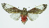  ( - INB0003976983)  @13 [ ] CreativeCommons - Attribution Non-Commercial No Derivatives (2011) Alex Smith University of Guelph