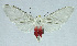  ( - INB0003977450)  @14 [ ] CreativeCommons - Attribution Non-Commercial No Derivatives (2011) Alex Smith University of Guelph