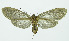  ( - INB0004041825)  @13 [ ] CreativeCommons - Attribution Non-Commercial No Derivatives (2011) Alex Smith University of Guelph