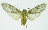  ( - INB0004041833)  @12 [ ] CreativeCommons - Attribution Non-Commercial No Derivatives (2011) Alex Smith University of Guelph