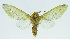  ( - INB0004042129)  @13 [ ] CreativeCommons - Attribution Non-Commercial No Derivatives (2011) Alex Smith University of Guelph
