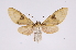  ( - INB0004049938)  @14 [ ] Copyright (2012) B. Espinoza Instituto Nacional de Biodiversidad