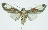  ( - INB0004051386)  @12 [ ] CreativeCommons - Attribution Non-Commercial No Derivatives (2011) Alex Smith University of Guelph