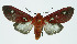  ( - INB0004067312)  @14 [ ] CreativeCommons - Attribution Non-Commercial No Derivatives (2011) Alex Smith University of Guelph