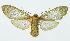  ( - INB0004067341)  @13 [ ] Copyright (2010) A. Solis Instituto Nacional de Biodiversidad