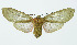  ( - INB0004067368)  @13 [ ] Copyright (2010) A. Solis Instituto Nacional de Biodiversidad