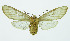  ( - INB0004067455)  @13 [ ] Copyright (2010) A. Solis Instituto Nacional de Biodiversidad