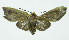  ( - INB0004067499)  @13 [ ] CreativeCommons - Attribution Non-Commercial No Derivatives (2011) Alex Smith University of Guelph