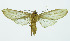  ( - INB0004067977)  @13 [ ] Copyright (2010) A. Solis Instituto Nacional de Biodiversidad