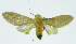  ( - INB0004068044)  @14 [ ] CreativeCommons - Attribution Non-Commercial No Derivatives (2011) Alex Smith University of Guelph