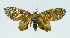  ( - INB0004068238)  @13 [ ] CreativeCommons - Attribution Non-Commercial No Derivatives (2011) Alex Smith University of Guelph