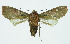 ( - INB0004072450)  @13 [ ] CreativeCommons - Attribution Non-Commercial No Derivatives (2011) Alex Smith University of Guelph