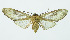  ( - INB0004072459)  @13 [ ] Copyright (2010) A. Solis Instituto Nacional de Biodiversidad