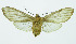  ( - INB0004072499)  @13 [ ] Copyright (2010) A. Solis Instituto Nacional de Biodiversidad
