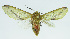  ( - INB0004074979)  @13 [ ] CreativeCommons - Attribution Non-Commercial No Derivatives (2011) Alex Smith University of Guelph