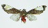  ( - INB0004078554)  @12 [ ] CreativeCommons - Attribution Non-Commercial No Derivatives (2011) Alex Smith University of Guelph