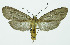  ( - INB0004091185)  @14 [ ] CreativeCommons - Attribution Non-Commercial No Derivatives (2011) Alex Smith University of Guelph