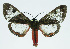  ( - INB0004092821)  @13 [ ] CreativeCommons - Attribution Non-Commercial No Derivatives (2011) Alex Smith University of Guelph