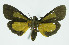  ( - INB0004103979)  @12 [ ] CreativeCommons - Attribution Non-Commercial No Derivatives (2011) Alex Smith University of Guelph