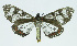  ( - INB0004107107)  @13 [ ] CreativeCommons - Attribution Non-Commercial No Derivatives (2011) Alex Smith University of Guelph