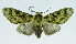  ( - INB0004107262)  @14 [ ] CreativeCommons - Attribution Non-Commercial No Derivatives (2011) Alex Smith University of Guelph